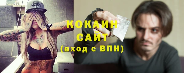 твердый Новозыбков