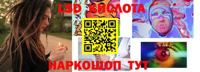 Альфа ПВП Дубна