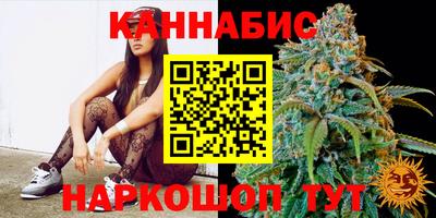 Альфа ПВП Дубна