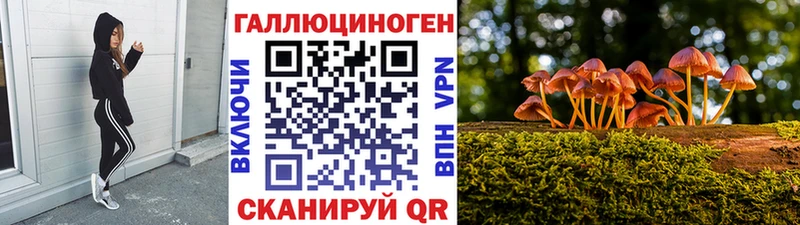 Псилоцибиновые грибы Psilocybine cubensis  Красноперекопск 