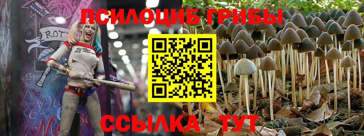 Псилоцибиновые грибы MAGIC MUSHROOMS  Вход с VPN  Красноперекопск 