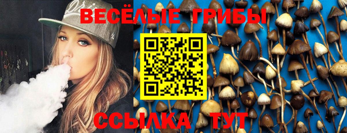 Псилоцибиновые грибы Psilocybine cubensis  Псилоцибиновые грибы GOLDEN TEACHER  Красноперекопск 