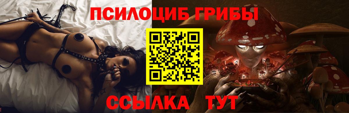 Псилоцибиновые грибы Cubensis Красноперекопск